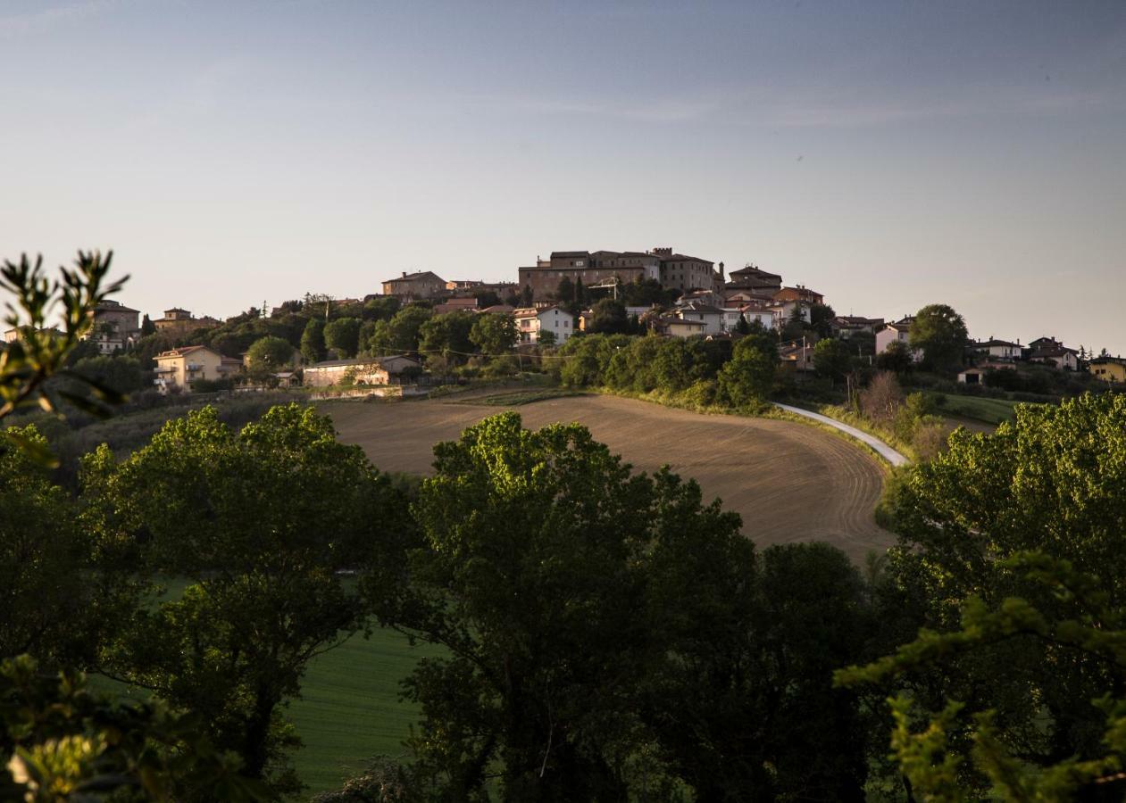 Grande Villa Storica Per Vacanze Con Giardino Privato E Piscina Ostra ภายนอก รูปภาพ