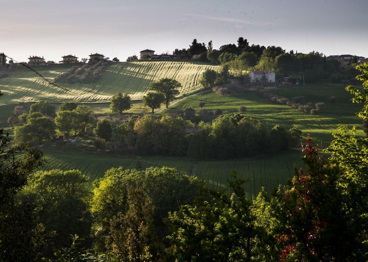 Grande Villa Storica Per Vacanze Con Giardino Privato E Piscina Ostra ภายนอก รูปภาพ