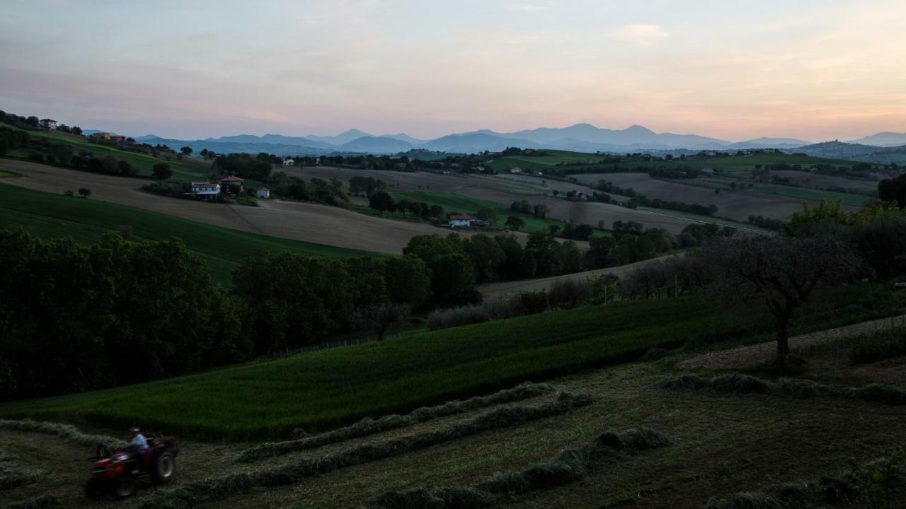 Grande Villa Storica Per Vacanze Con Giardino Privato E Piscina Ostra ภายนอก รูปภาพ