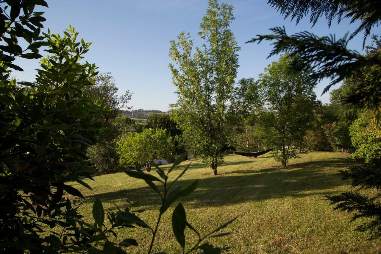 Grande Villa Storica Per Vacanze Con Giardino Privato E Piscina Ostra ภายนอก รูปภาพ